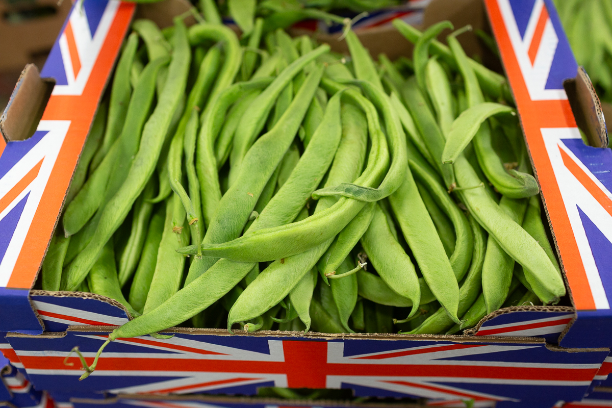 Runner beans