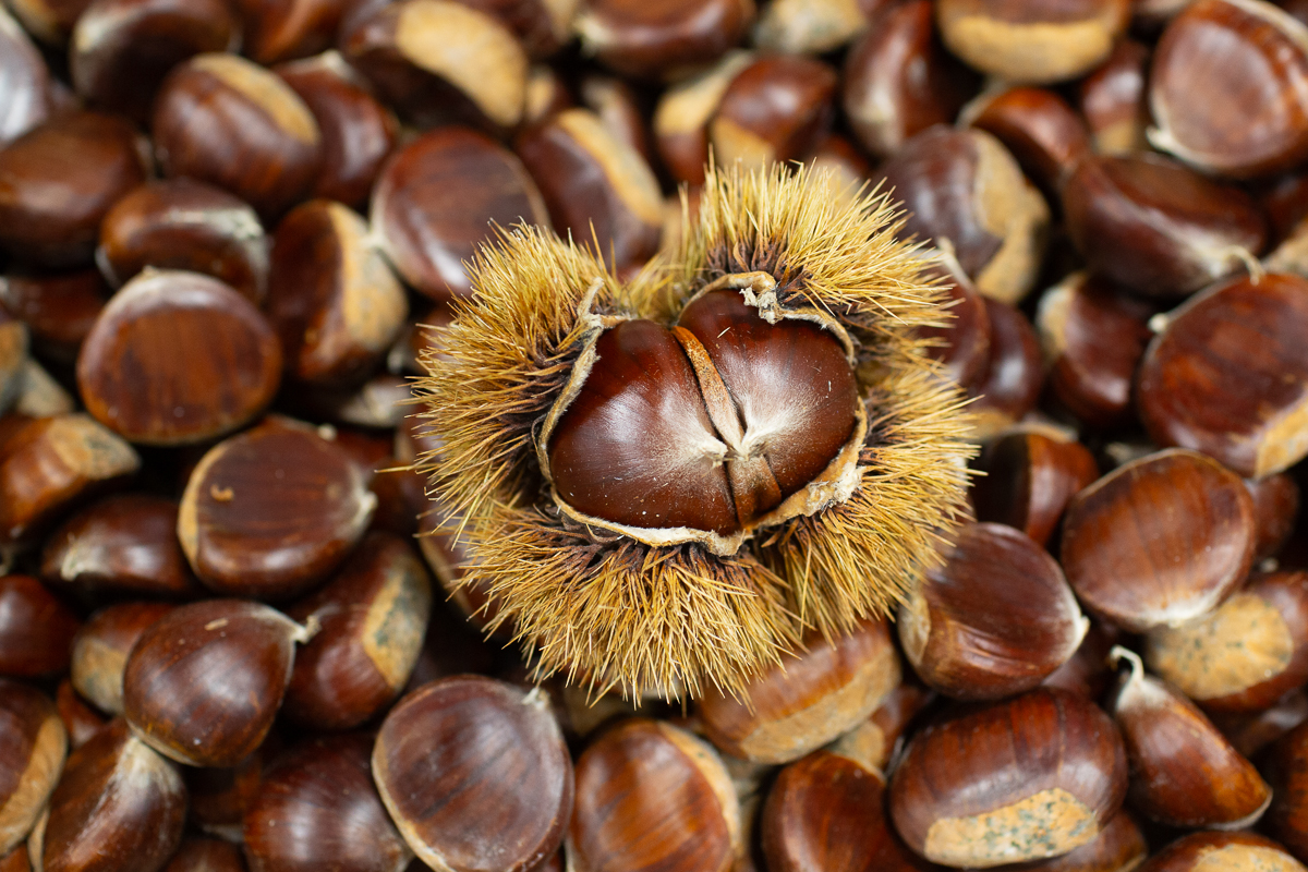 Chestnuts