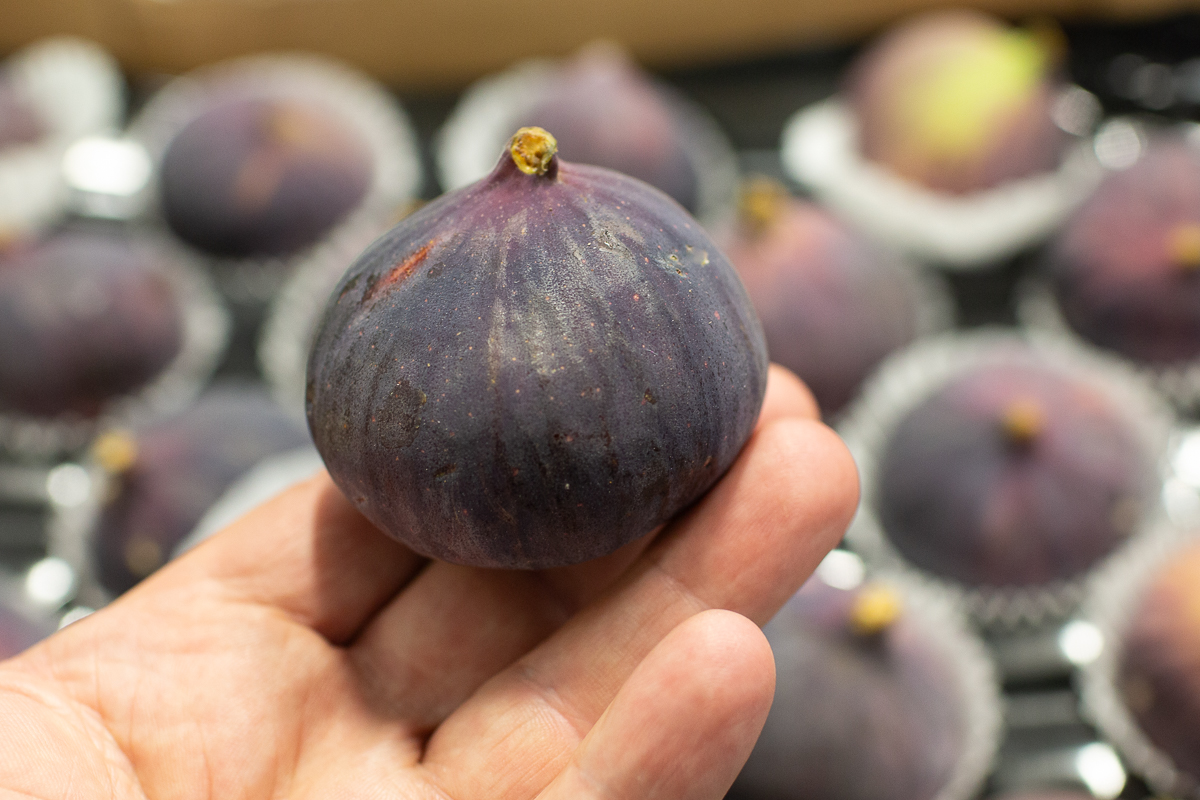 Bursa black figs