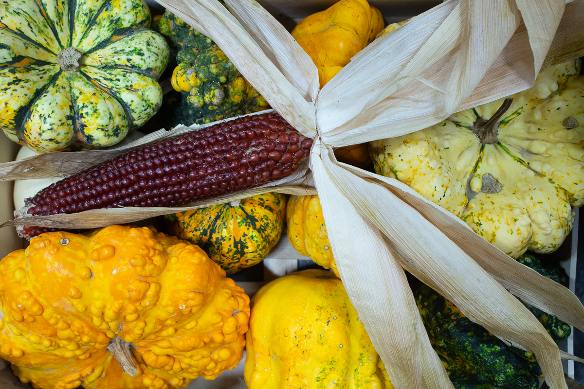 Squashes