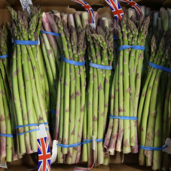 British asparagus